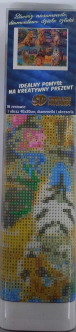 Norimpex diamantové malování kočičí sny 30x40 cm