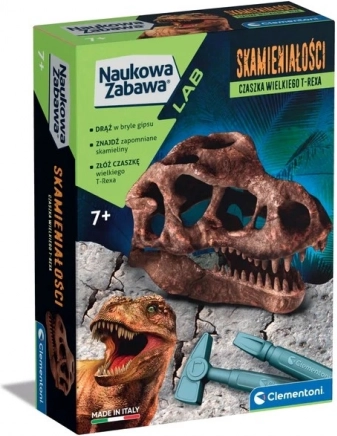Vědecká sada fosilie lebka t-rexe