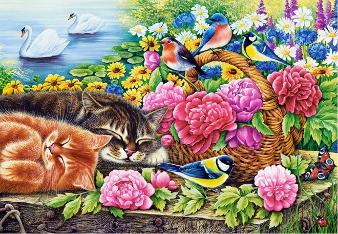 Puzzle 1000 dílků Kočky v květinách líná neděle