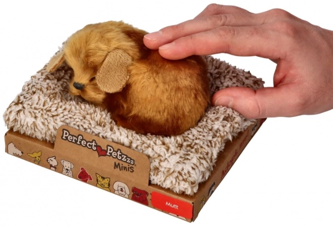 Malý psík Perfect Petzzz