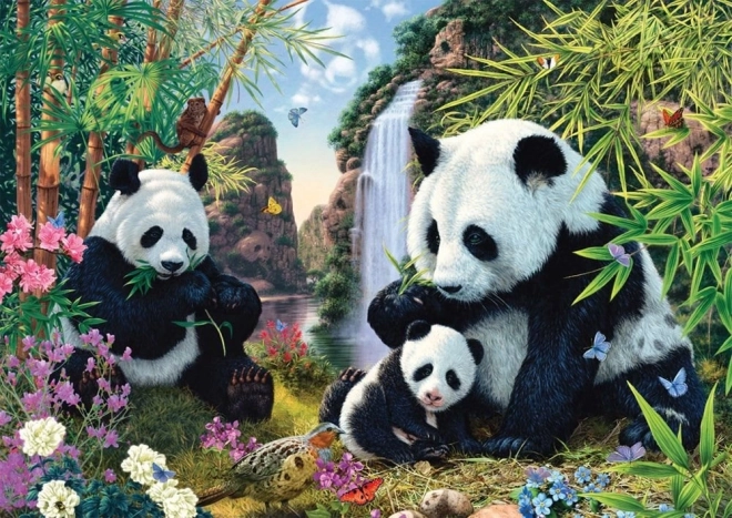 Puzzle Pandy u Vodopádu 500 Dílků