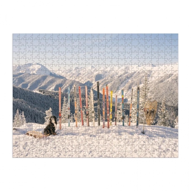 GALISON Oboustranné puzzle Gray Malin: Zima 500 dílků