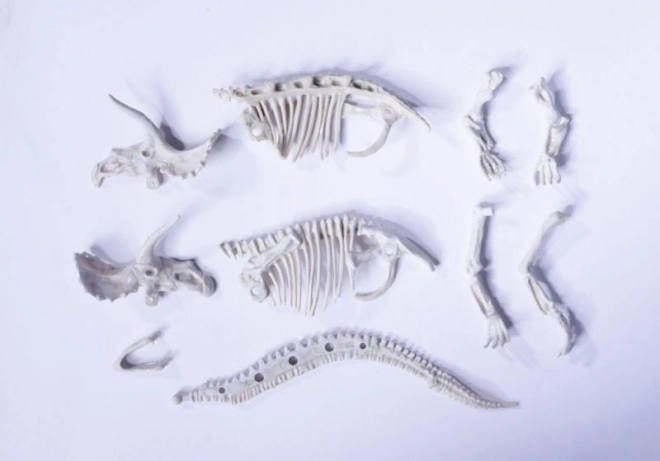 Sada na vykopávání a sestavení dinosauřích koster