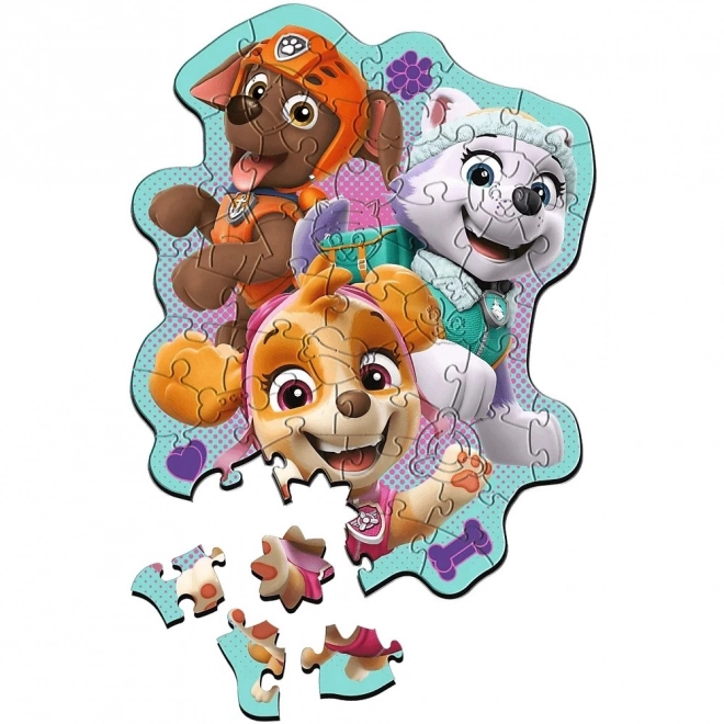Dřevěné puzzle Tlapková Patrola 50 dílků