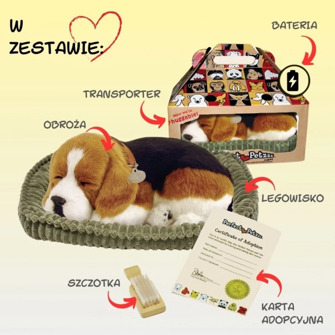 Oddychající štěňátko Beagle Perfect Petzzz