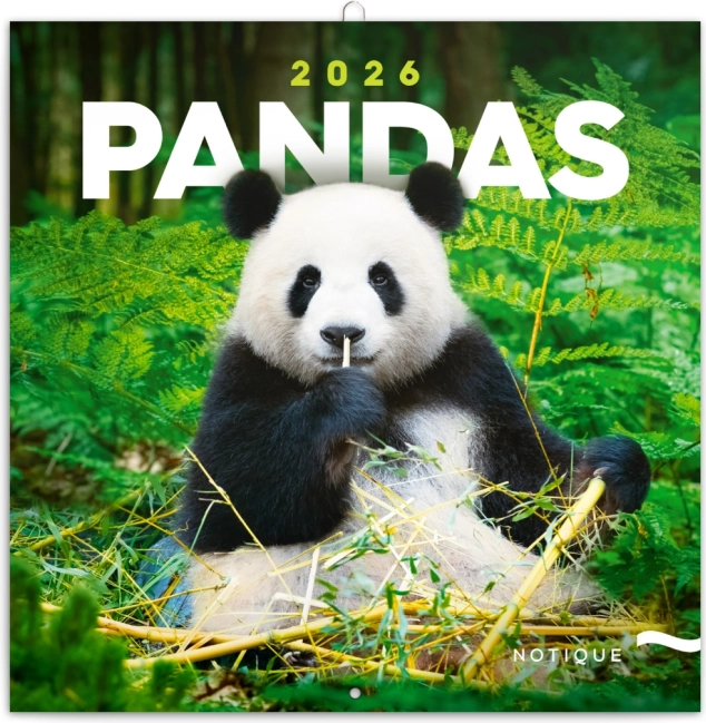 Poznámkový kalendář Pandy 2026