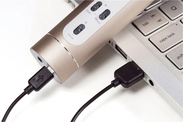 Mikrofon karaoke Bluetooth na baterie s USB kabelem v krabici 10x28x8,5cm – Zlatý