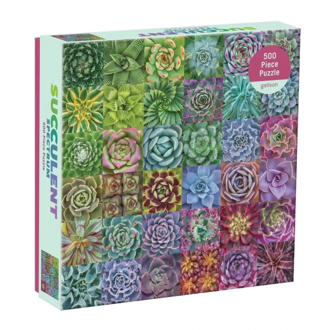 Puzzle barevné sukulenty 500 dílků