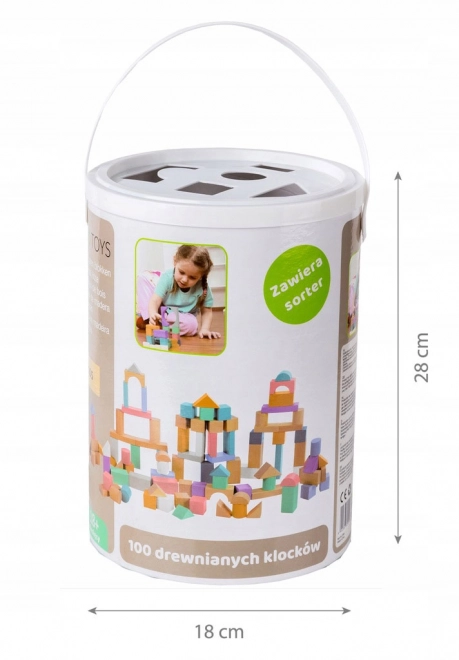 Dřevěné kostky 100 ks ve vědru se sortérem Ecotoys