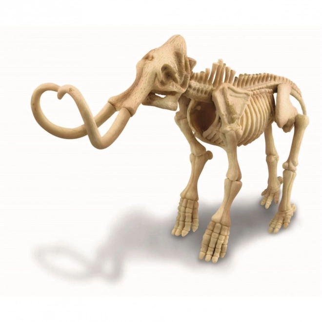Vykopávky - Mamut