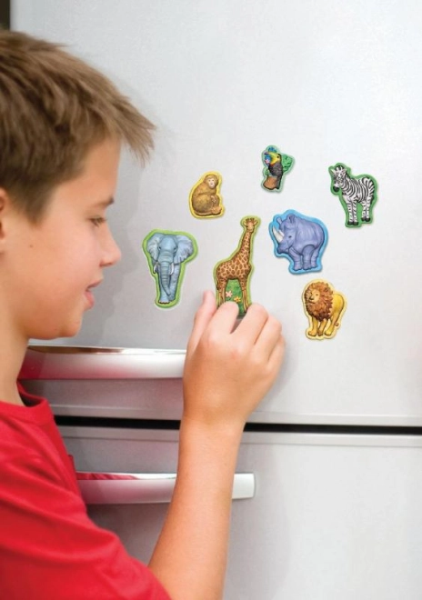 Magnety na lednici pro každodenní radost