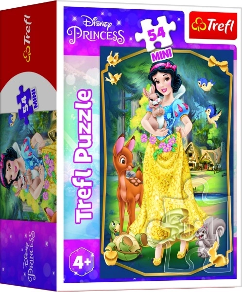 Minipuzzle Krásné princezny/Disney Princess 54 dílků