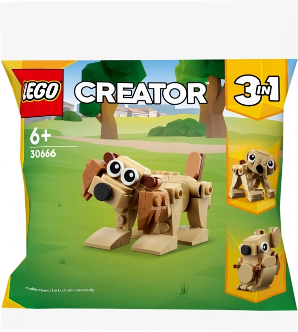 Veselý design a kreativita