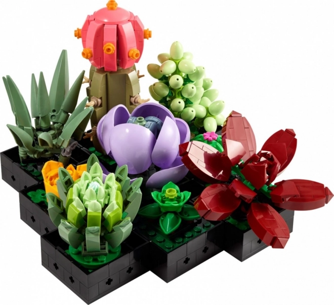 LEGO Botanické ikony 10309 Sukulenty