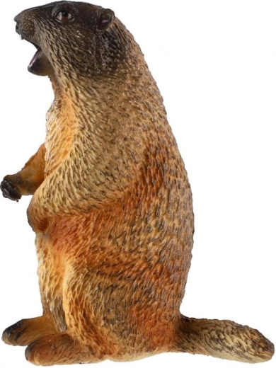 Skvělé do sbírky i do výuky