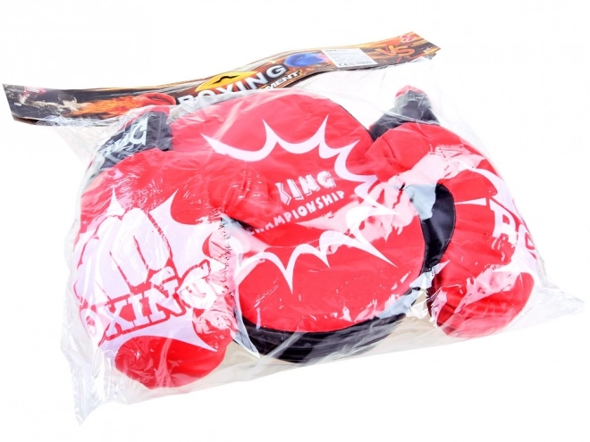 Boxerský tréninkový set
