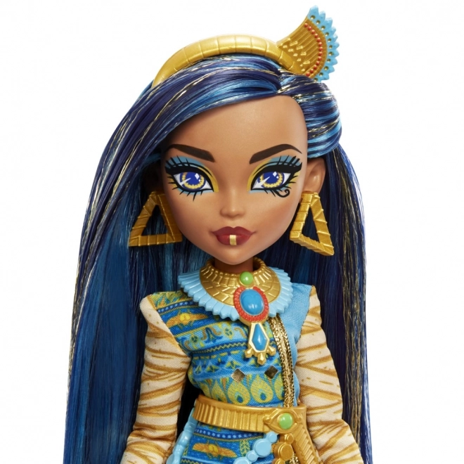 Monster High panenka s příslušenstvím