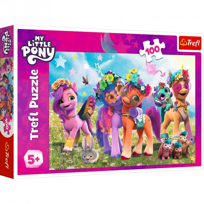 Veselé puzzle My Little Pony 100 dílků