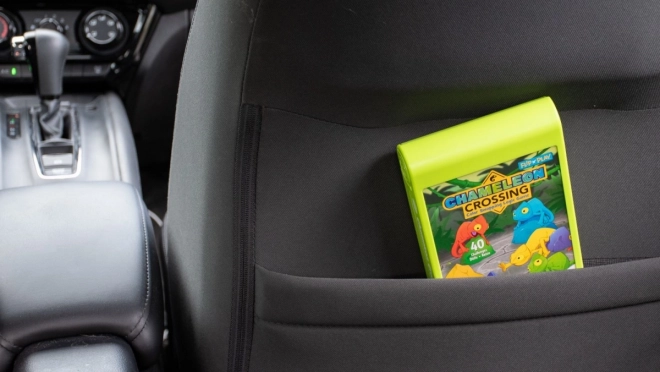 ThinkFun Chameleon Crossing