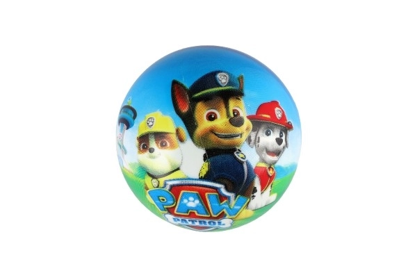 Míč paw patrol 14cm