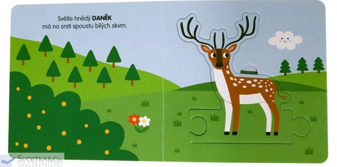 Svojtka & Co. Knížka s puzzle: Zvířátka v lese