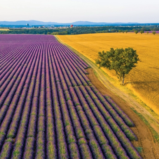 Poznámkový kalendář Provence 2026