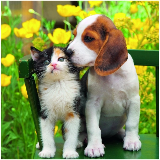 Ideální obtížnost: 55 dílků