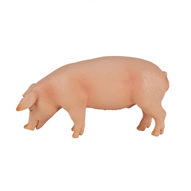 Mojo prase figurka
