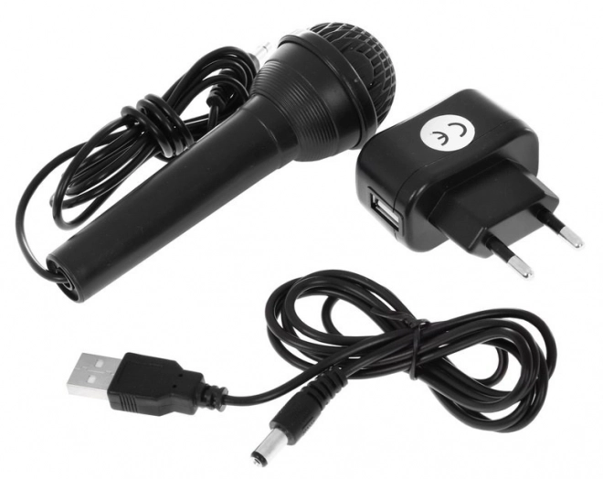 Dětský klávesový syntezátor s mikrofonem a USB