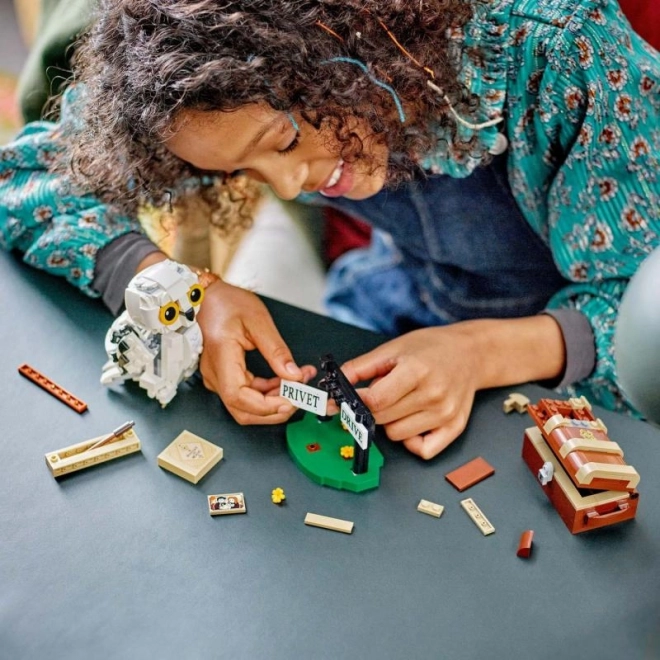 LEGO Harry Potter Hedvika na Privet Drive