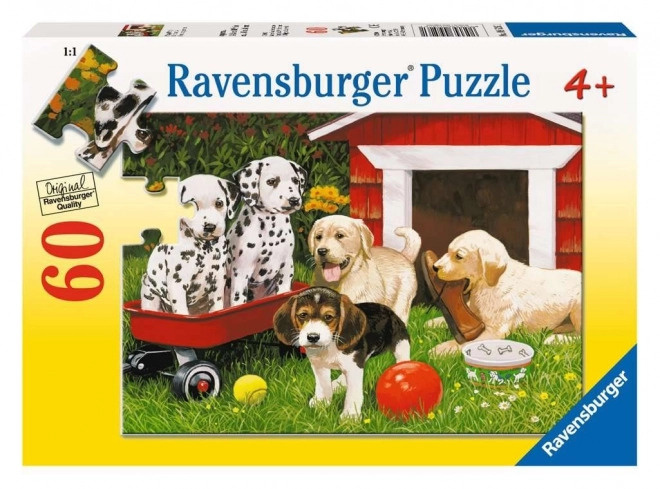 Ravensburger puzzle Štěněčí párty 60 dílků