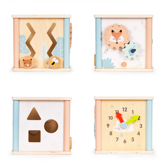 Dřevěné vzdělávací kostky Ecotoys