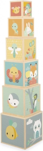 Kvalitní dřevěné provedení s ilustracemi