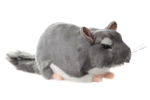 Plyšová Činčila 22 cm