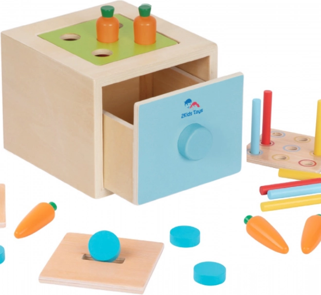2Kids Toys Dřevěná multifunkční vhazovací hračka