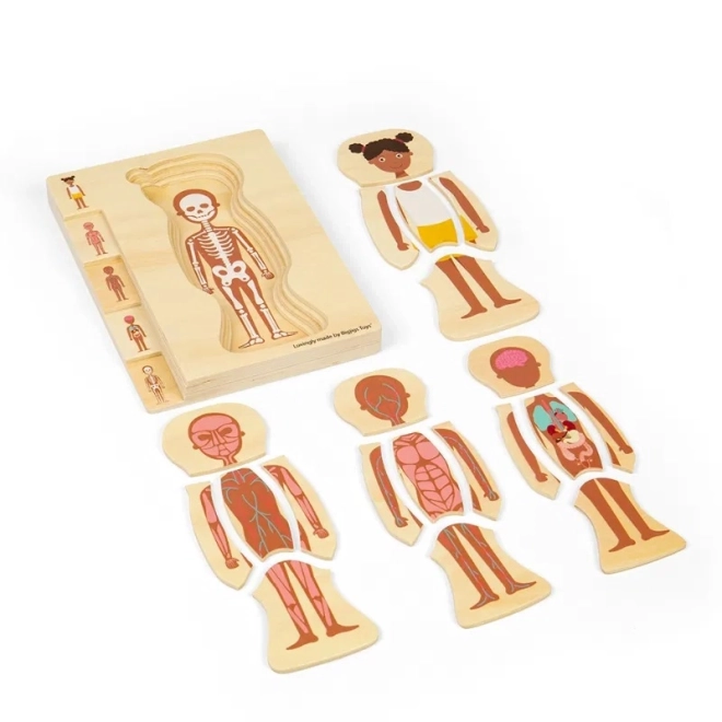 Dřevěné puzzle Anatomie dívka