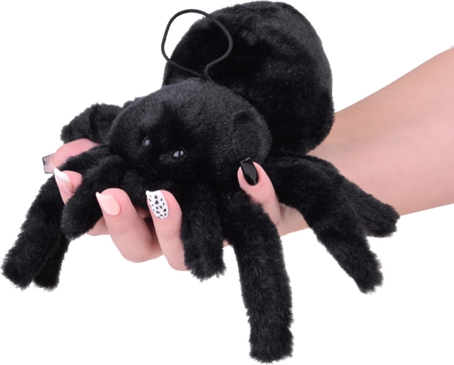 Ideální pro hru a dekoraci