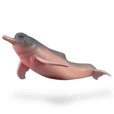 Delfínovec amazonský