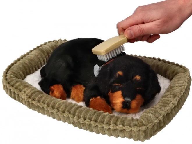 Oddychající štěňátko Rottweiler