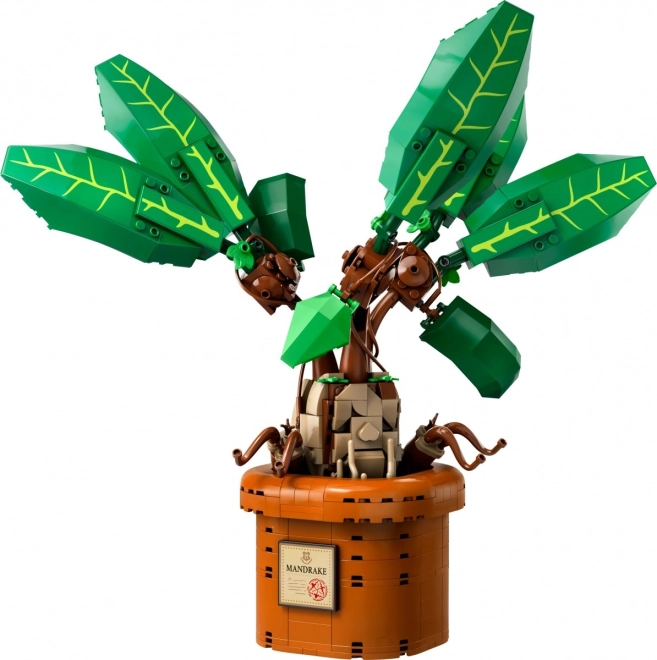 Tvořte mandragoru