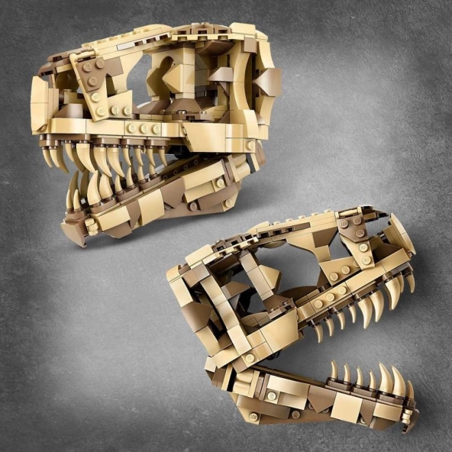 LEGO® Jurassic World 76964 Dinosauří fosilie: Lebka T-rexe