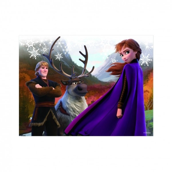FROZEN II 12 Dřevěné licenční kostky