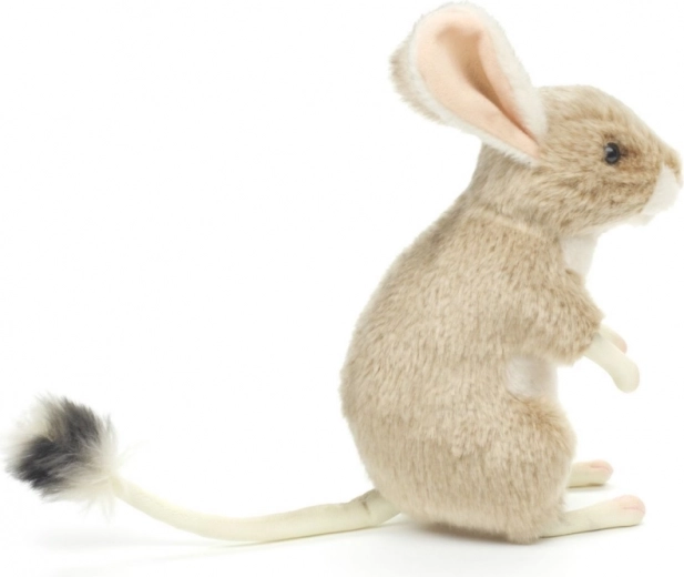 Lehký a vhodný na cesty