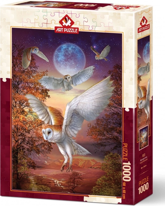 ART PUZZLE Puzzle Noční sovy 1000 dílků