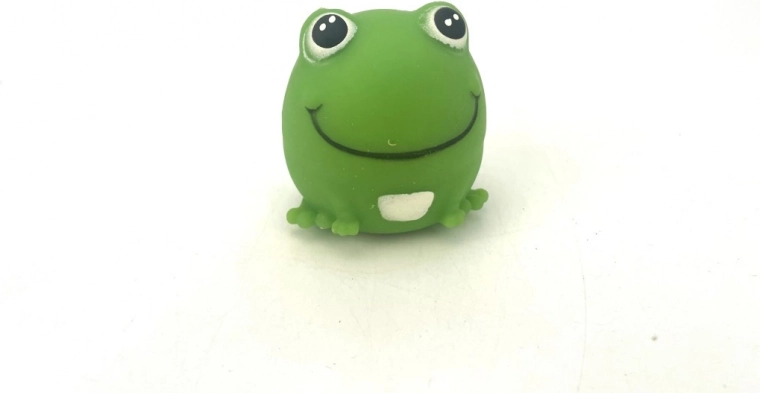 Žába pro zábavu i soustředění