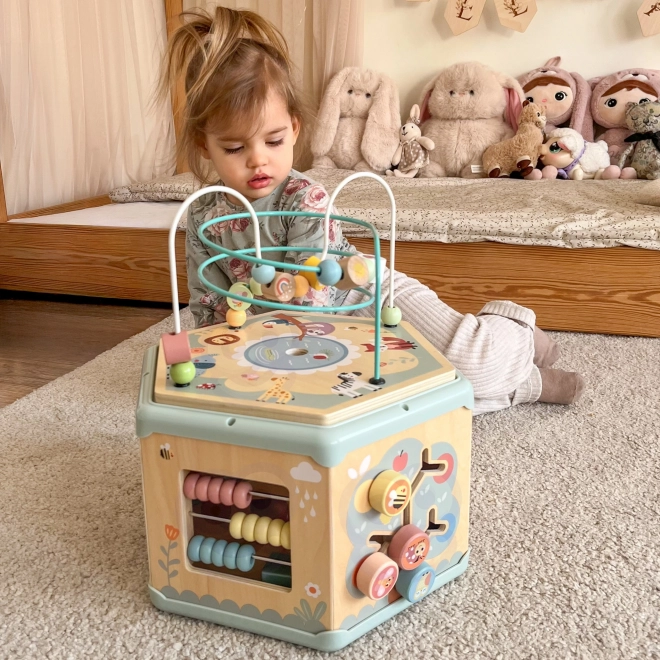 Interaktivní dřevěný šestiúhelník Montessori TOOKY TOY