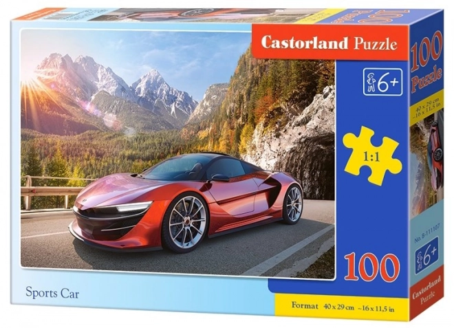 Puzzle sportovní auto 100 dílků