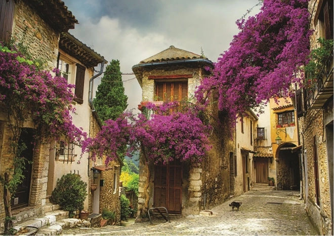 ANATOLIAN Puzzle Staré město 1500 dílků