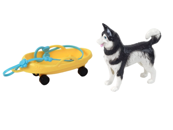 Pes Husky jako věrný společník