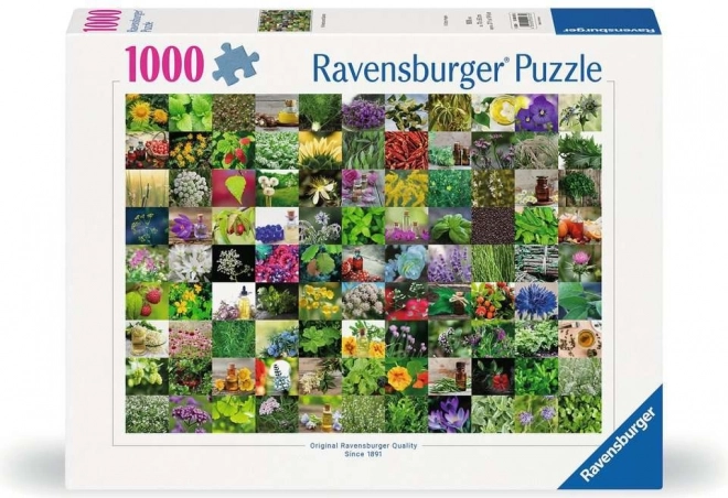 Puzzle s koťaty 1000 dílků